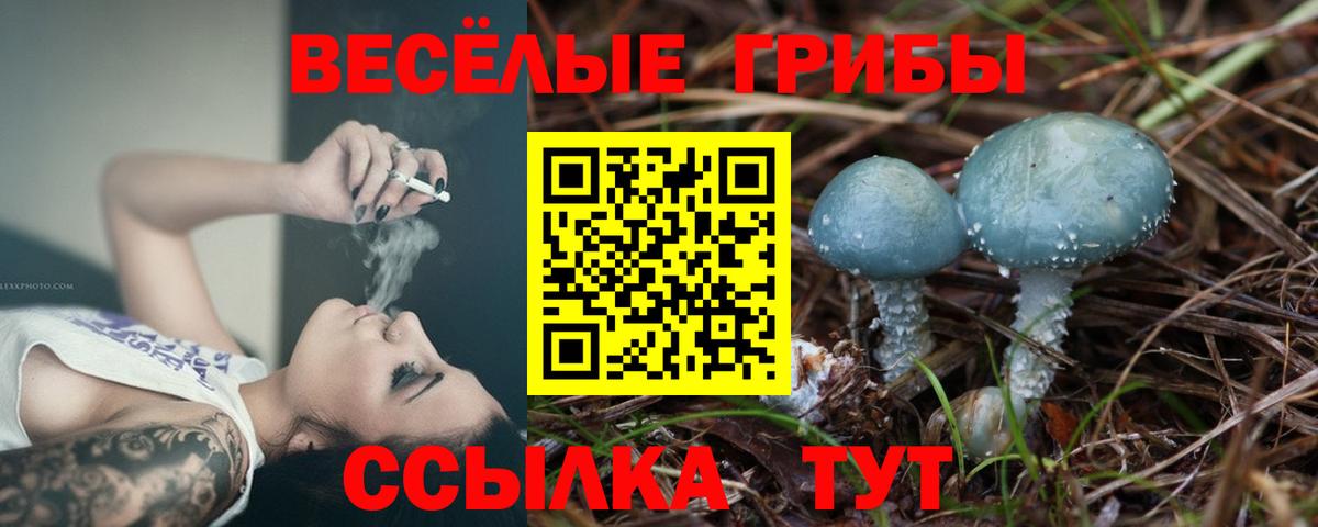 Саратов  Псилоцибиновые грибы мицелий  где продают наркотики  Вход с VPN 